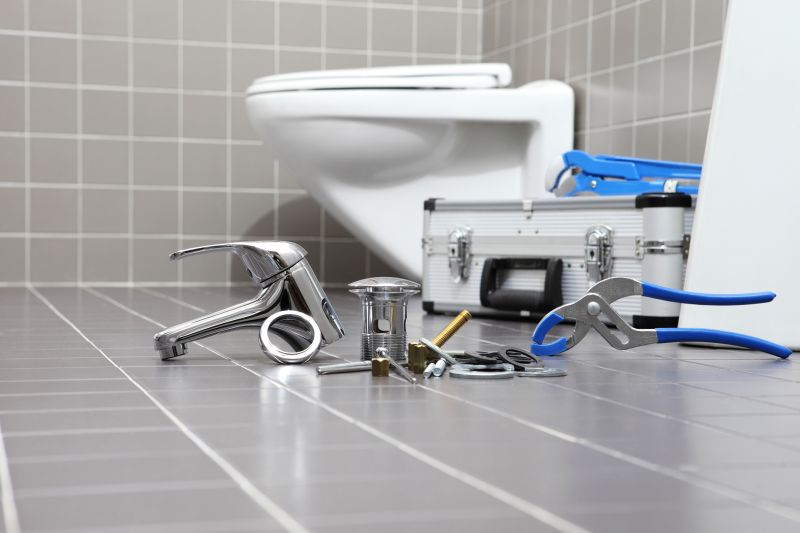 Toilet Snaking detail